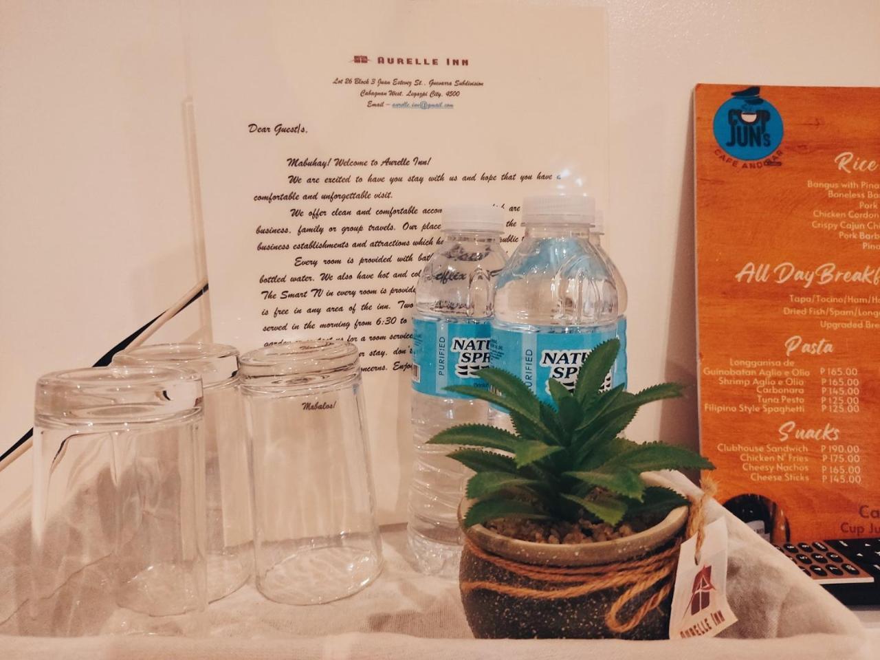 Aurelle Inn Legazpi Zewnętrze zdjęcie